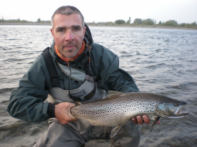 Trucha marron del RIO LIMAY.(argentina)