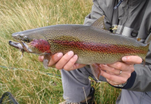  Fotografía de Pesca con Mosca de Trucha arcoiris por Hernan Pacetti – Fly dreamers