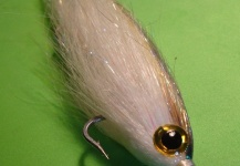 Henkie Altena 's Fly-tying for Bonito - Pic – Fly dreamers 