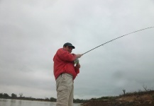 pesca en goya