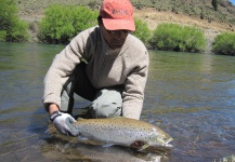  Fotografía de Pesca con Mosca de Trucha marrón por Va Ca – Fly dreamers 