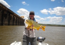 David Cowes 's Fly-fishing Picture of a Golden Dorado – Fly dreamers 