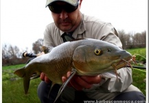 Barbel Fly-fishing Situation – Roberto Garrido Grau shared this Interesting Image in Fly dreamers 