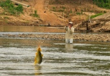 Good Fly-fishing Situation of Golden Dorado shared by Alejandro Bianchetti 