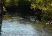 pescando en el rio Malleo