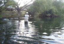 Fly-fishing Situation of Rainbow trout - Picture shared by Sebastian Diaz – Fly dreamers