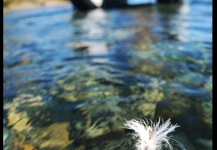  Foto de Situación de Pesca con Mosca por Matias Curuchet – Fly dreamers