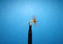 Fly-tying Image shared by Nathan Madison – Fly dreamers