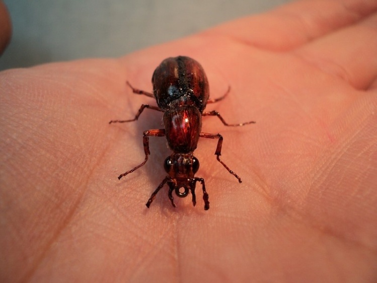 Foto de mosca realista de Sergio Córdoba