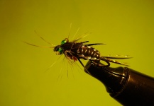 Great Fly-tying Image by Hans Steffens A 