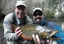 Marcelo Widmann 's Fly-fishing Pic of a Brook trout – Fly dreamers 