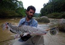 Alejandro Bianchetti 's Fly-fishing Photo of a Surubi – Fly dreamers 