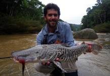 Fly-fishing Image of Surubi shared by Alejandro Bianchetti – Fly dreamers