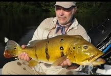  Fotografía de Pesca con Mosca de Tucunare - Pavón compartida por Piccino Gemma – Fly dreamers