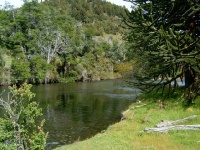 Foto de pesca con mosca