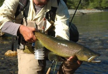 Niccolo Baldeschi Balleani 's Fly-fishing Picture of a Brown trout – Fly dreamers 