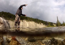 Impressive Fly-fishing Situation of Brown trout - Image shared by Andrew Hardingham – Fly dreamers