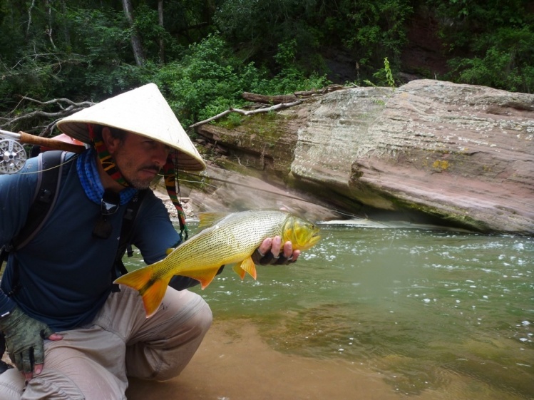 Pesca de dorado con mosca en Salta