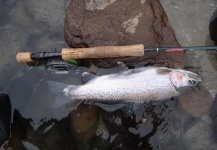  Foto de Pesca con Mosca de Trucha arcoiris por Martin Tagliabue – Fly dreamers 