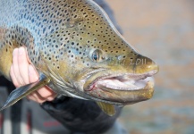 GUIDES FISHING MAY 2012 - Middle Limay