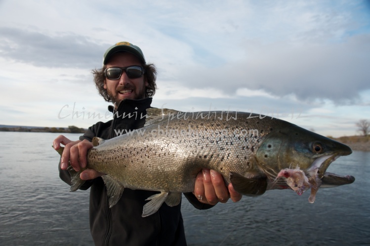 Nico's first brown!