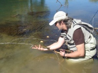 Fly fishing picture