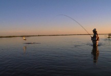 Golden Dorado Fly-fishing Situation – Patagonic Waters shared this Cool Image in Fly dreamers 