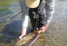  Fotografía de Pesca con Mosca de Grayling por Luca Poggialini – Fly dreamers