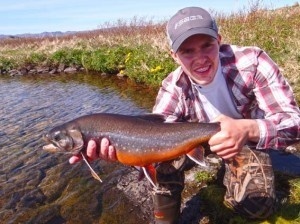 Great colours in the Arctic Char !