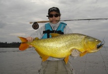 Claudio Grossi 's Fly-fishing Pic of a Golden Dorado – Fly dreamers 