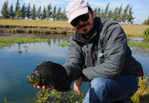Luis San Miguel 's Fly-fishing Picture of a Chameleon Cichlid – Fly dreamers 