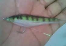 mosca para robalo o snook