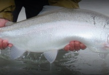 Interesting Fly-fishing Photo by Juan Aguirre 