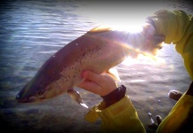  Fotografía de Situación de Pesca con Mosca por Juan Aguirre – Fly dreamers