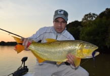 Fly-fishing Photo of Golden Dorado shared by Claudio Grossi – Fly dreamers 