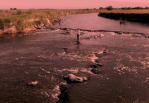 Pesca Dorados (Bs As)