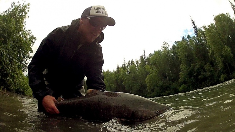 this is a chinook salmon. i got him a ways up the river so they start turning black. this thing fought like a champ though! took a while to get it in :)