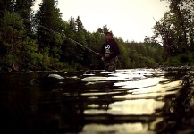 Great Fly-fishing Situation of Steelhead - Photo shared by Andrew Hardingham – Fly dreamers 