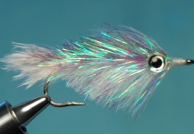 Fly for Redfish shared by Jimbo Busse – Fly dreamers 