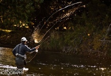 Fly-fishing Situation Image shared by Peter Treichel – Fly dreamers