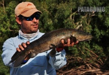 Patagonic Waters 's Fly-fishing Photo of a Wolf Fish – Fly dreamers 