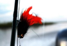 Fly-tying Pic by Patagonic Waters 