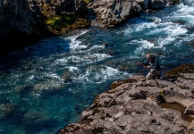  Una Gran foto de Situación de Pesca con Mosca por Mika Tuomela