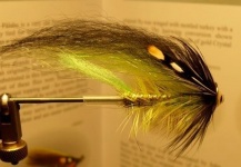 Ingolfur David Sigurdsson 's Fly for Atlantic salmon - Image – Fly dreamers 