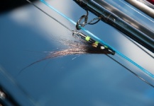 Mika Tuomela 's Fly-tying for Atlantic salmon - Image – Fly dreamers 