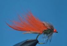 Fly-tying for Sabalo - Photo shared by Juancito Ajargo – Fly dreamers 