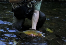 Kimbo May 's Fly-fishing Pic of a Cutthroat – Fly dreamers 