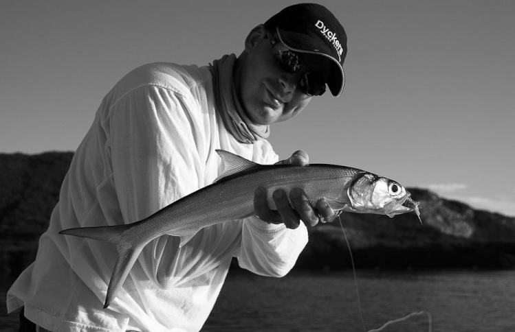 Ladyfish fly fishing