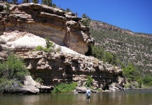 Fly-fishing Situation of Brown trout shared by Pancho Winter 