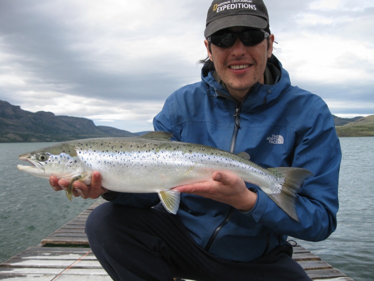 Salmón del Atlántico pescado con mosca